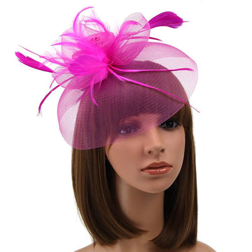 Women's Organza Fedora Hat Tea Party Horse Race Pure Color Headpiece/Veil Hat With Feather