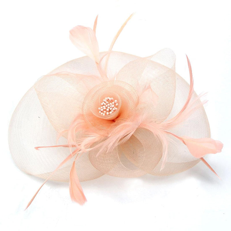 Women's Organza Fedora Hat Tea Party Horse Race Pure Color Headpiece/Veil Hat With Feather