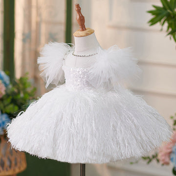 Butterfly Embellishments Birthday Baby Girl Dress